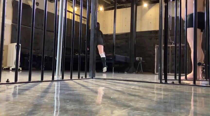 @pinkama2023 の動画